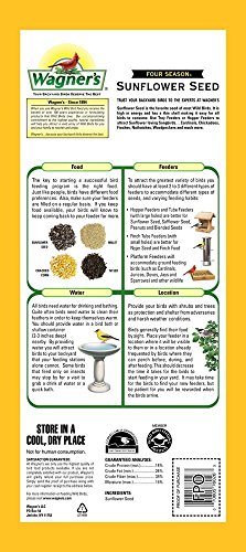 Wagner's 76029 Black Oil Sunflower Seed Wild Bird Food, 40-Pound Bag #TOP1
