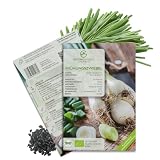 BIO Frühlingszwiebel Samen (Weißer Lissabonner, 75 Korn) - Frühlingszwiebeln Saatgut aus biologischem Anbau idea ...