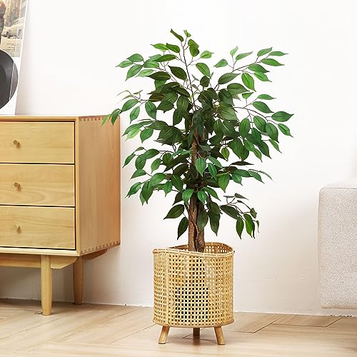 SOGUYI 3ft Ficus Artificial Trees with Realistic Leaves and Trunk, Silk Fake Ficus Tree with Plastic Nursery Pot, Faux Ficus Tree for Office Home Farmhouse for Indoor Outdoor Decor(Set of 1) - Thumbnail 3