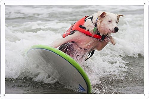 Amazon 犬サーフィン波飛沫ベストのティンサイン 金属看板 ポスター Tin Sign Metal Poster Of Dog Surfing Waves Splashes Vest インテリア オンライン通販