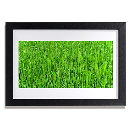 Cadre herbe verte nature 30x20 cm pour une ambiance relaxante au salon ou au bureau