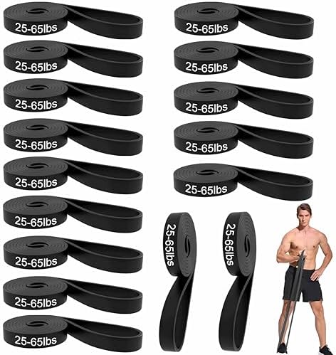 16-Pcs Resistance Bands Set - Premium Elastic Workout Bands for H...