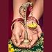 LoveNspire 2 PC Parrot Brass Oil Diya Kerala Samai Puja Diya Traditional 7.5 Inches Bird Pair Hanging Chain Oil Lamp Hindu Religious Kathu Vilakku Deepak for Home Temple Diwali Decor Housewarming Gift