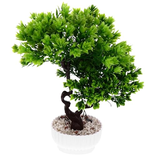 LALAFINA }q~͖ V~[VA lHA CeA rO ItBX Xܗp tFCNO[ϋv