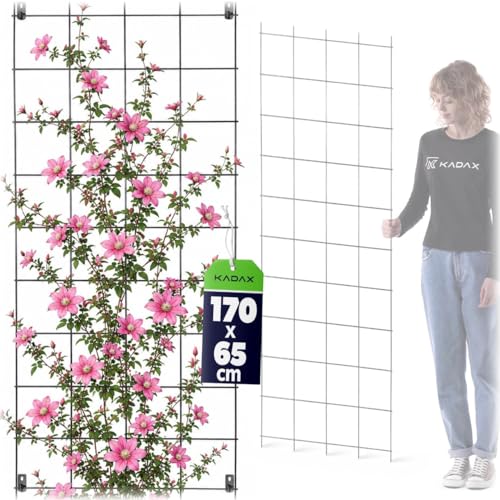 KADAX Treillis mural en acier pour plantes, jardin, balcon, terrasse, grille métallique, aide à l'escalade, grille pour plantes, treillis, fixation murale,...