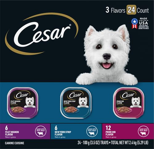 Image of Cesar Filets in Gravy Wet Dog Food, Steak Mix Variety, 24 count, 2 pack