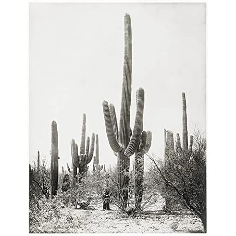 Vintage Saguaro Desert Cactus Art | Black and White Sepia Cactus Photo | Vintage Southwest Art Print | Desert Art Print Cover