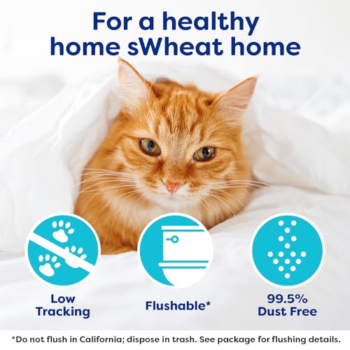 sWheat Scoop Natural Wheat Cat Litter, Original, Fast Clumping with Odor Neutralizing Enzymes, 25 Pound Bag - Image 6