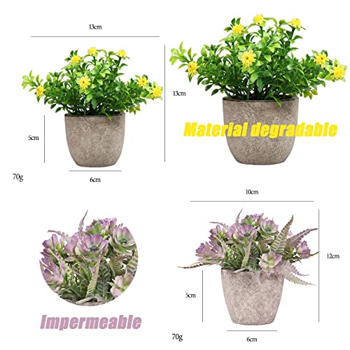 La mejor comparación de Mini macetas decorativas para comprar hoy. 29 Imagen adicional