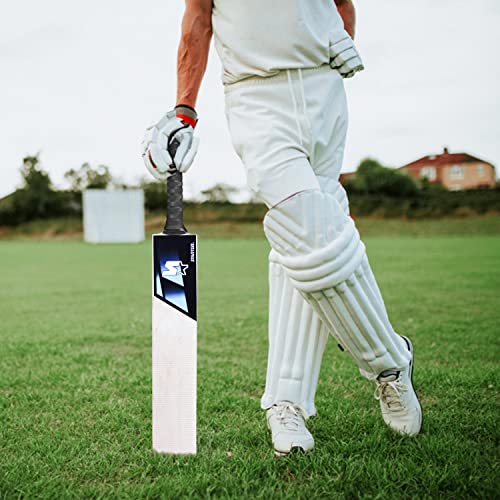 Image of Starter Kashmir Willow Cricket Bat with Half Cane Handle- 10+ Years Kids- Size 5- Blue & White