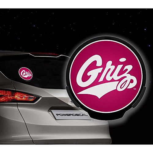 Rico-Axiz-Group-PWR490501-Montana-Power-Decal