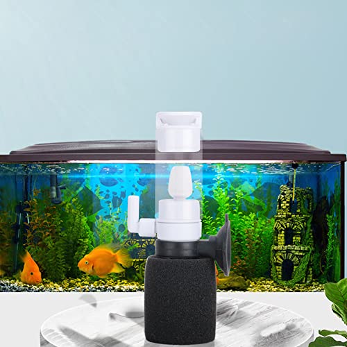 Air filter aquarium The 15 best products in comparison Aquaristics