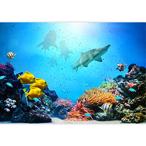 Wall26 Large Wall Underwater Scene With Sunny Sky Shining Through Clean Ocean Water Vinyl Wallpaper Removable Decorating - Canvas Art Wall Decor - 66"X96" #TOP14