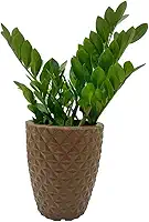VASO POLIETILENO COLUNA BERLIAN GOLD 3D DECORATIVO P/PLANTAS/JARDINS/ESCRITÓRIOS (MARROM)