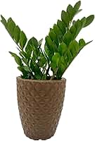 VASO POLIETILENO COLUNA BERLIAN GOLD 3D DECORATIVO P/PLANTAS/JARDINS/ESCRITÓRIOS (MARROM)