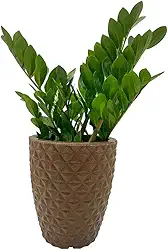 VASO POLIETILENO COLUNA BERLIAN GOLD 3D DECORATIVO P/PLANTAS/JARDINS/ESCRITÓRIOS (MARROM)