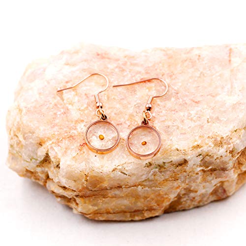 Rose Gold Plated Real Mustard Seed Round Earrings Stainless Steel Fish Hook Dangle Earrings For Women Girl Y582 (Round) #TOP4