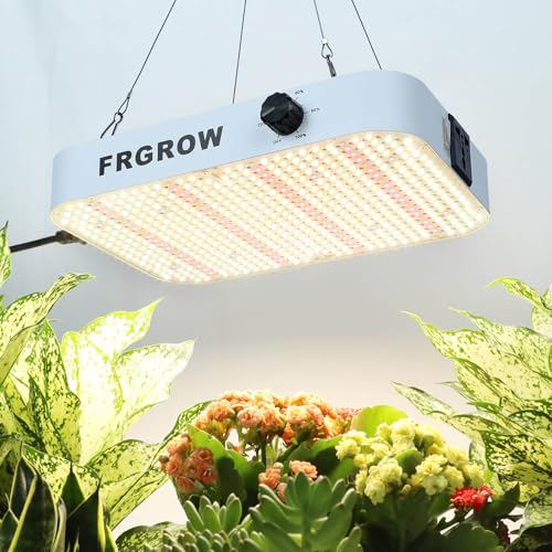 SYLVANIA T8 Leuchtstoff-Lampe, Wachstumslampe, G13 Sockel, 58 Watt, 20000h Lebensdauer, 26mm Durchmesser, 1500mm Länge, Weißer Kolben, 1er Pack 9 FRGROW 2025 Upgrade 200 Watt LED Pflanzenlampe Dimmbar, 20000 Lumen LED Grow Lampe Vollspektrum mit Daisy Chain Funktion, Higher Power LEDs Grow Light Perfekt für 60x60CM Growzelt Pflanzenwachstum