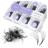 BEYELIAN 0.07mm 10D Curl Volume Lash Extensions - Premade Fans, Handmade Loose Fans, 9-16mm Mixed