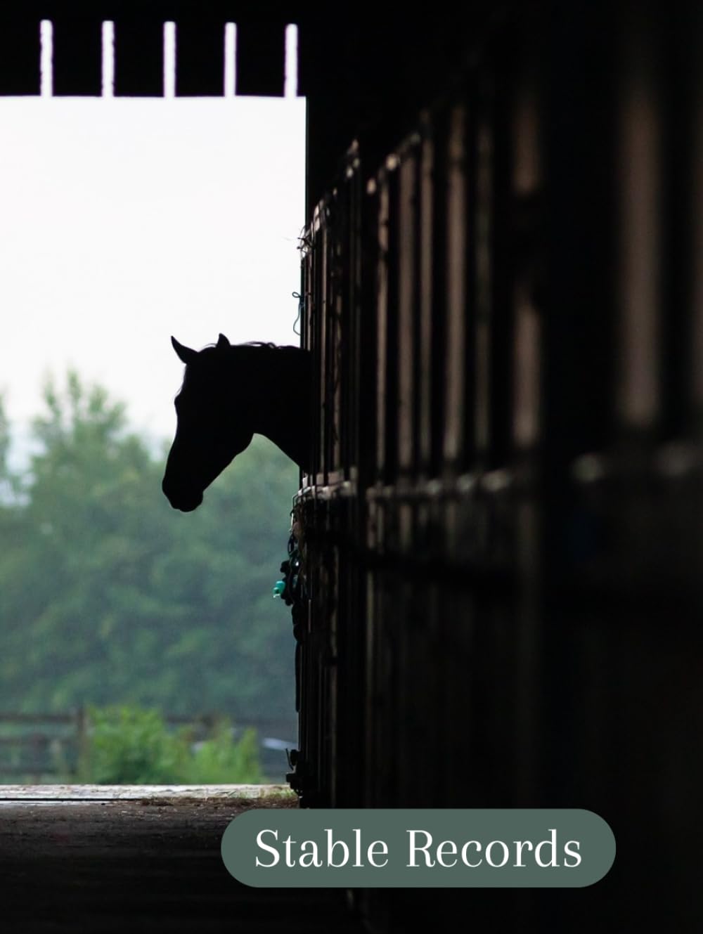 Stable Records: Barn Manager for 50 Horses, Boarding Facility Log Book, 8.5" x 11" Large Journal