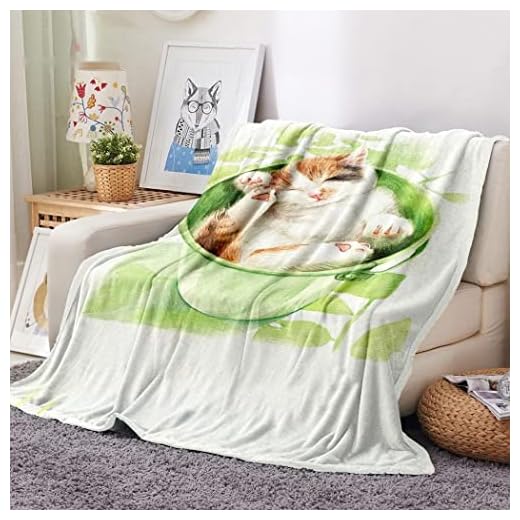 Gosig filt 220 x 240 cm grön katt flanell filt/fleecefilt/sofffilt/vardagsrumstäcke /sofffilt/utomhusfilt – 280 GSM mjuk och varm filt