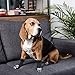 PUPTECK 2 Paar Doppelseitige Anti-Rutsch Hundesocken mit verstellbaren Riemen für den Innenbereich - Hundeschuhe Pfotenschutz Sommer Haustierpfoten Schutz Traktion Kontrolle Socken auf Hartholzboden