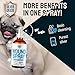 SILVER GRADE Wound Spray for Pets – Colloidal Silver Wound Care for Dogs & Cats – Helps with Skin Irritation, Hot Spots, Rashes, Scratching, Itch, Bites & Burns – Use a Dog Cone – 4 oz
