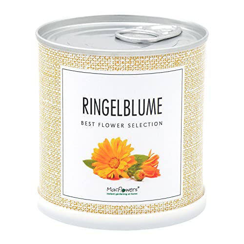 Saludos de flores - verdadera flor de anillo en lata - Set de cultivo fácil y rápido - regalo Cover