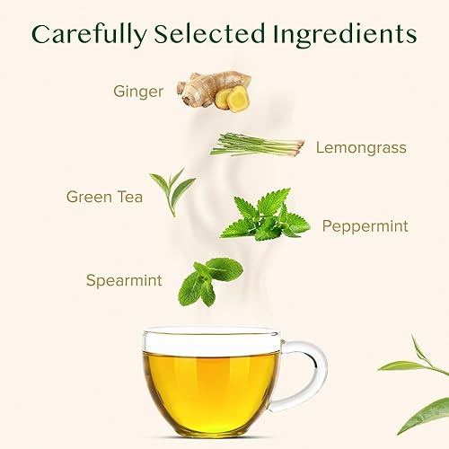 Miniatura 5 de VAHDAM - Hojas sueltas de té verde jengibre + menta (100 tazas), mezcla de té de jengibre y té de menta, hojas de té verde puro, 3.53 onzas (juego