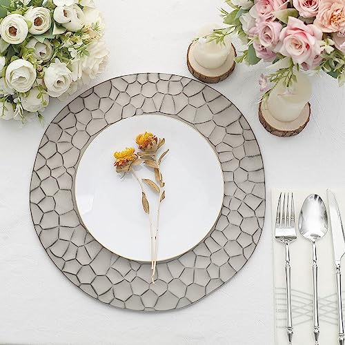 Set de 6 platos desechables grises mate de plástico 13" miniatura 2