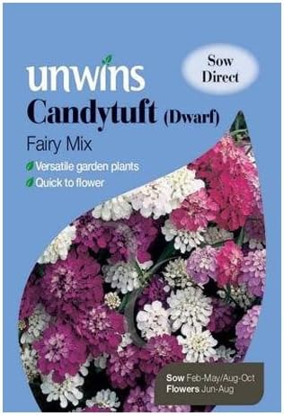 Unwins Candytuft Dwarf Fairy Seed Mix