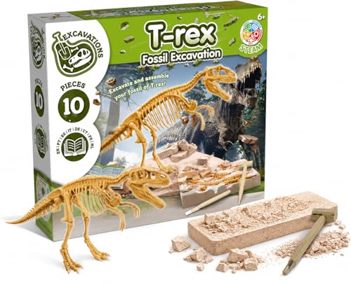 Le kit de fouille dinosaure T-Rex