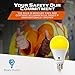 2-Pack Solray A19 Amber Yellow LED Bug Light Bulb No Blue Light Outdoor 650 Lumens 120V E26 Medium Base 9.5-Watt (40-Watt Replacement) A19 Outdoor Bug LED Warm Light Bulb