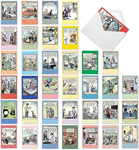 Nobleworks 36 Assorted Funny Birthday Cards Adult Bulk Boxed Set Cartoon Cards With Envelopes A Bizarro Bash Ac9376bdg B1x36 Amazon Sg Office Products