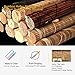 Cordless Bamboo Window Shades, Premium Custom Natural Wood Roller Shades with 6 Inches High Valance, Light Filtering Roll Up Sun Shades Window Blinds for Patio, Doors, French Door, Porch, Color 2