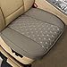 BLACK PANTHER Funda Asiento Coche,Borde de Envoltura Completo,Protector para Funda Asiento Coche Delantero(W 21.26''*D 20.87”)(2 Pieza,Gris)