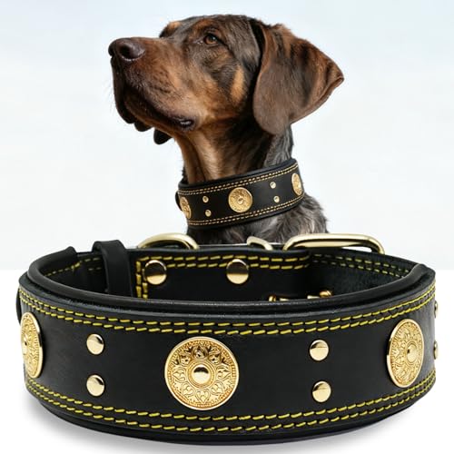 Hundehalsband Leder, 5 cm Breites Robustes Echtes Lederhalsband, Handgefertigt, Weich und Luxuriös, Auffällige Beste Wahl für Große und Mittelgroße Hunderassen, Gold-Schwarz L