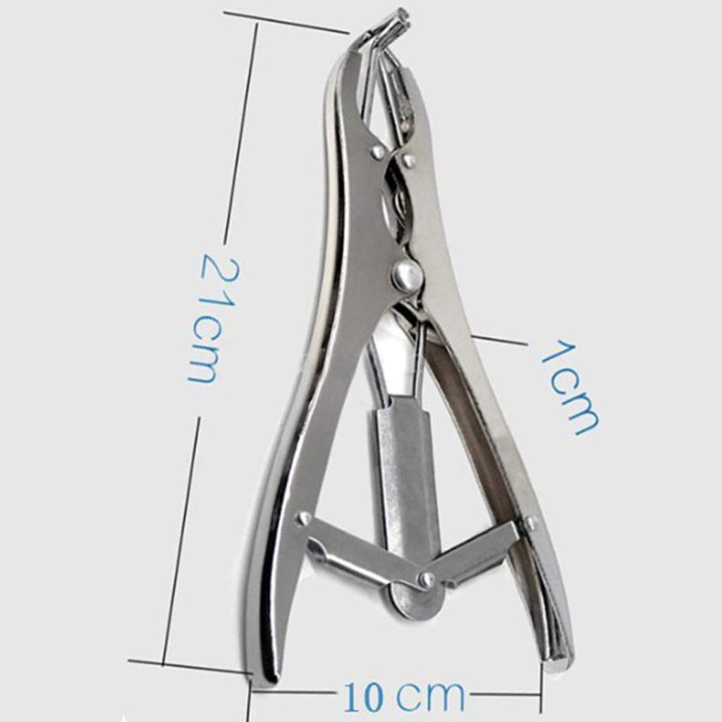 Sharplace Tronchese Pinza Castratore Strumento Dock Per Capre Bovini Ovini Utensili Elastrator