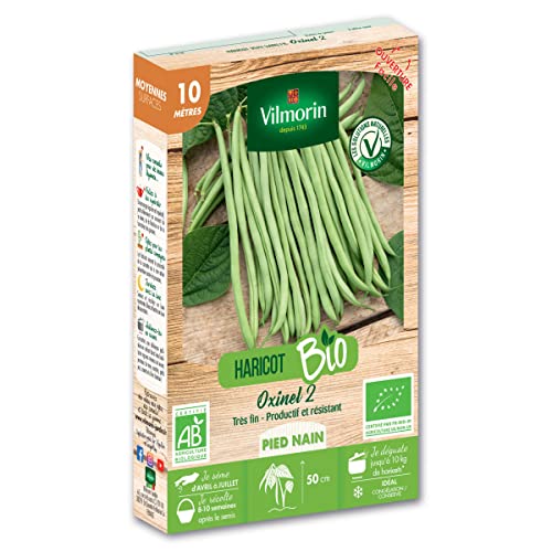 Haricot Nain Vert Oxinel 2-10 m - BIO