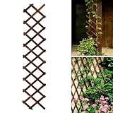 Bounmer 68in Expandable Wooden Lattice Trellis
