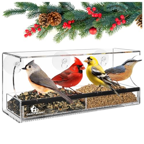 Window Bird Feeder