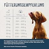 Lakefields Premium Hundefutter Nass | Wild 59% | 6 x 800g | Getreidefreies Nassfutter für Hunde | Natürliche Zutaten in Lebensmittelqualität | Karotten, Kartoffeln & Heidelbeeren | Schonend gegart