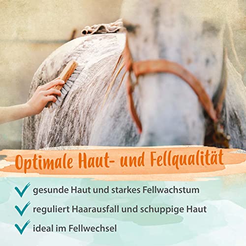 Ida Plus Biotin + Zink - Rundumversorgung – hochdosiert – VERGLEICHSSIEGER – Premium Zink für Pferde - verbessert Hufqualität - für Haut, Fell & Immunsystem - bei Mauke, Hufproblemen & mehr - 750g