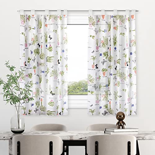 HOMEYA - Cortina Cocina Translúcida 100x140cm - Visillo Transparente Estampado para Ventana, Marco de puerta - 2 Unidades