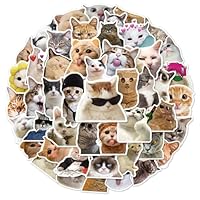 POPOYU Cute Funny Cat Stickers - 100pcs Cartoon Theme Vinyl Stickers for Kids, Teens, Laptops, Skateboards