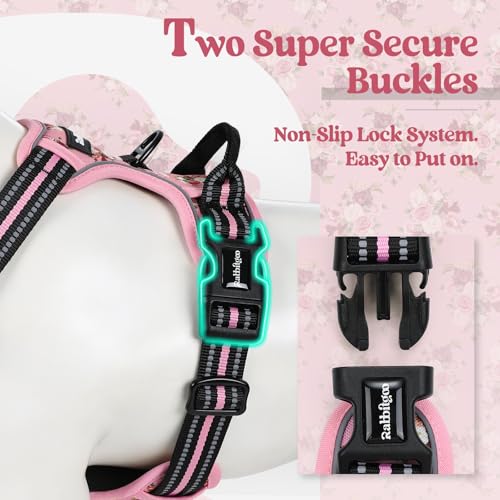 Image of rabbitgoo Dog Harness No Pull with 2 Leash Clips, Adjustable Soft Padded, Reflective Oxford No Choke Pet Vest with Easy Control Handle for Medium Sized Dogs, Pink Rose, M