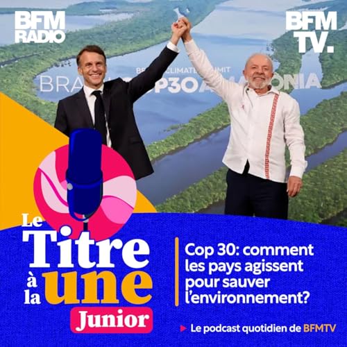 Cop 30: comment les pays agissent pour sauver l'environnement ?