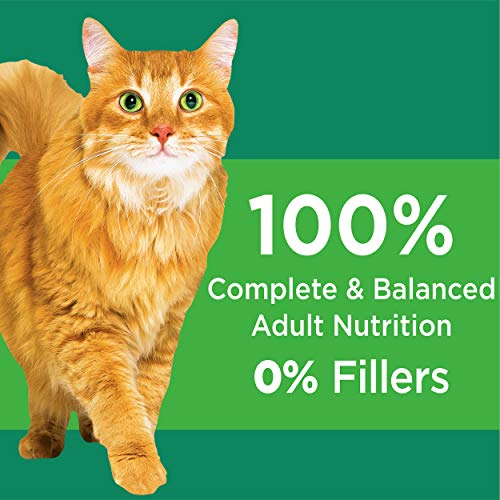 Iams Proactive Health Healthy Senior Dry Cat Food With Chicken Cat Kibble, 7 Lb. Bag #TOP7