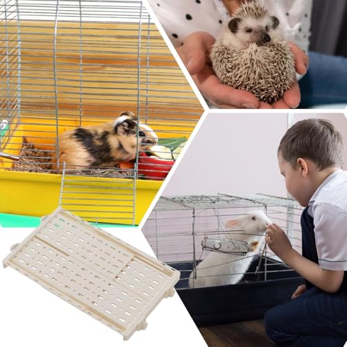 Habitat pour hamster et maison rétractable pour lapin et rongeurs