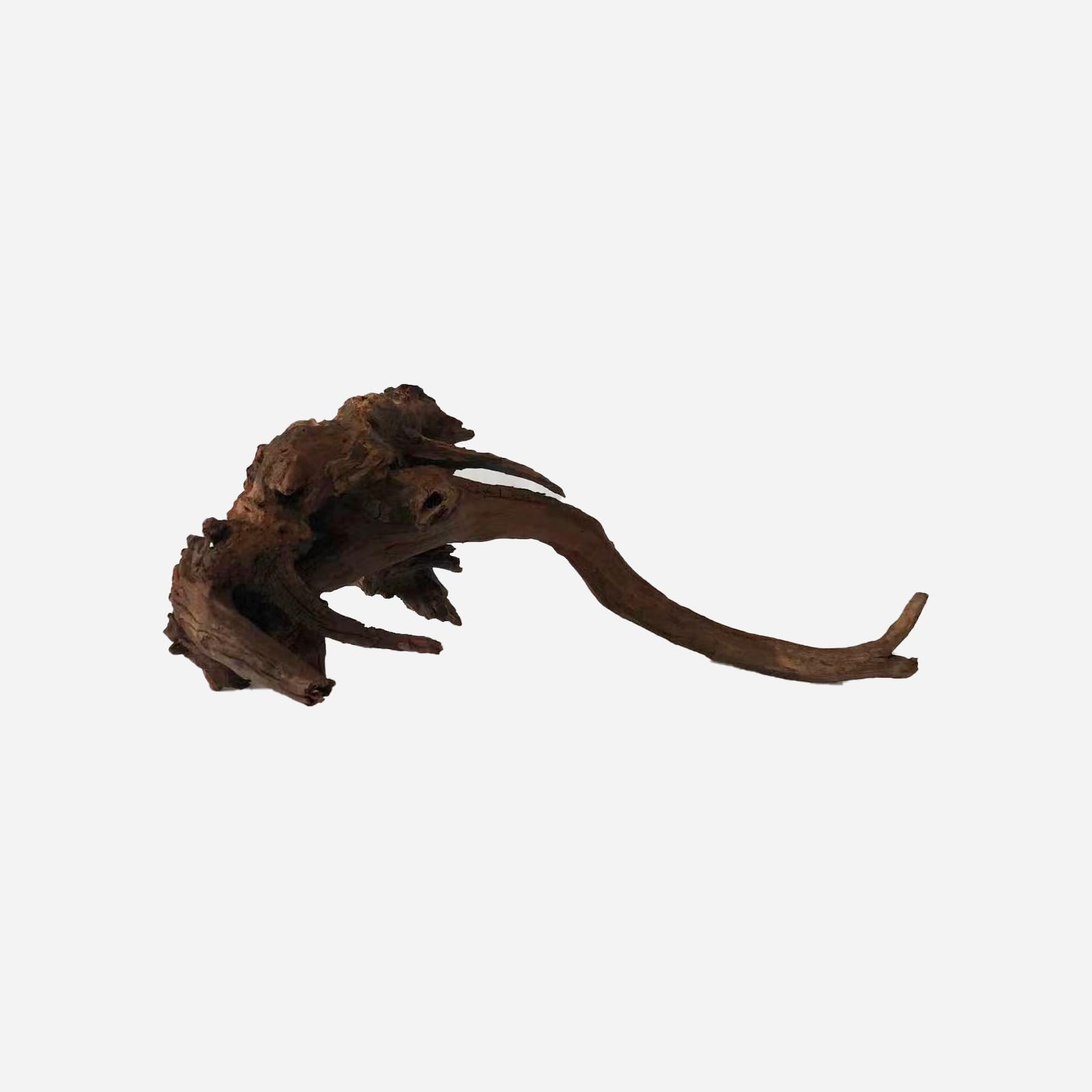 LYPHARD AQUARIUMS Natural Driftwood for Aquarium Decor, L19.69×W11.81×H7.87 Inches Large Drift Wood Decorations for Reptile Hide, Fish Tank, Optional Shapes